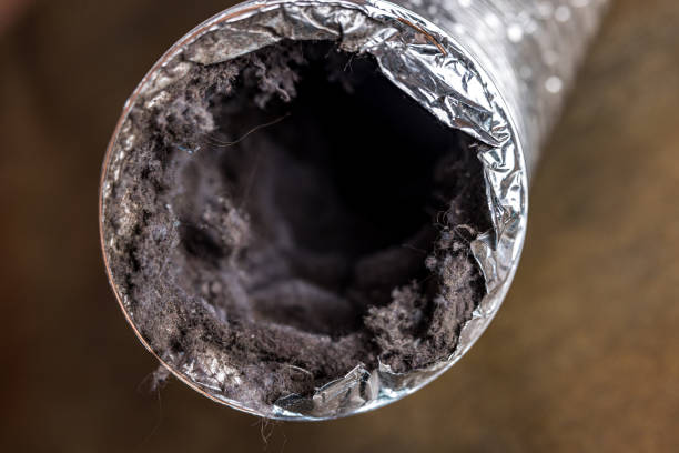 Best Professional Duct Cleaning Services  in Palm Valley, FL